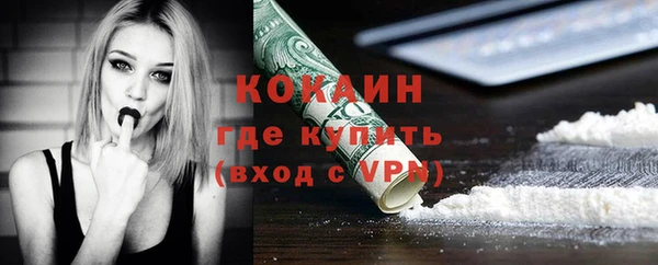 тгк Алексин