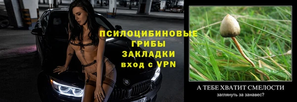 тгк Алексин