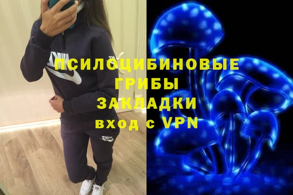тгк Алексин