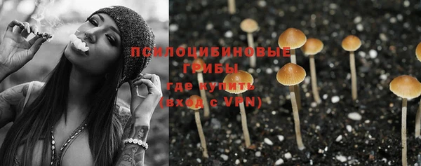 Альфа ПВП Алексеевка