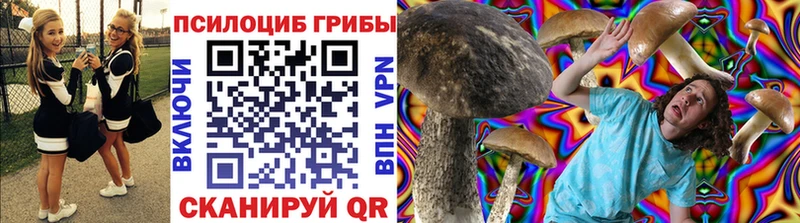 Псилоцибиновые грибы ЛСД  Шимановск 