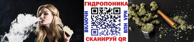 мега tor  наркота  Шимановск  Канабис план 
